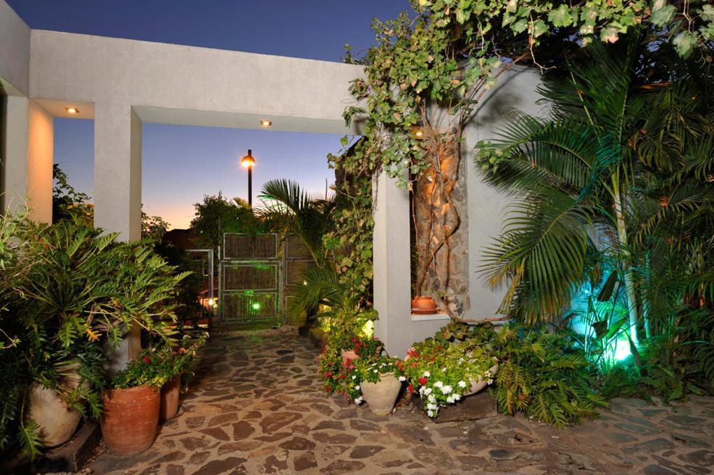 Villa Nichochot Provence à Had Nes Extérieur photo