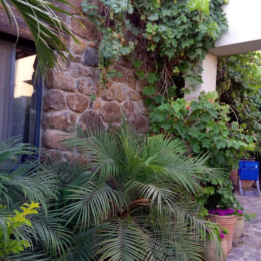 Villa Nichochot Provence à Had Nes Extérieur photo
